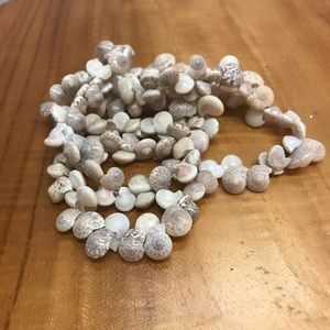 Long 🐚 Shell Necklace